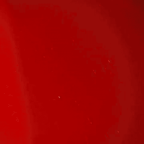 Encabezado